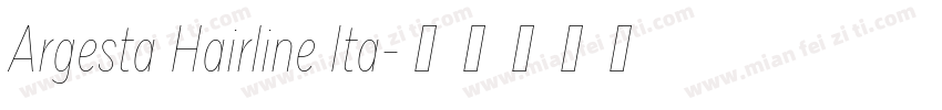 Argesta Hairline Ita字体转换